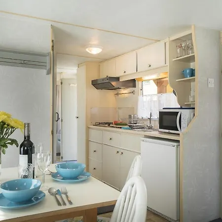 Orman Evi Lena Kopalino