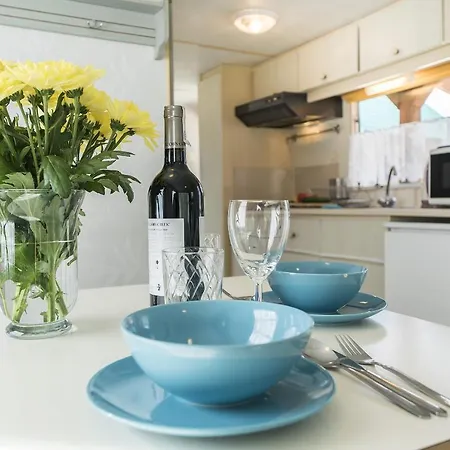 Orman Evi Lena Kopalino